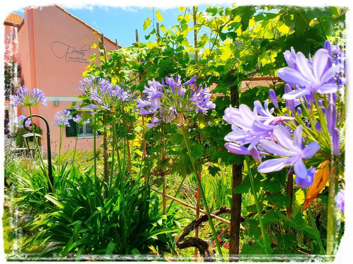 Casa Vacanze Family Albisola Superiore Exterior photo
