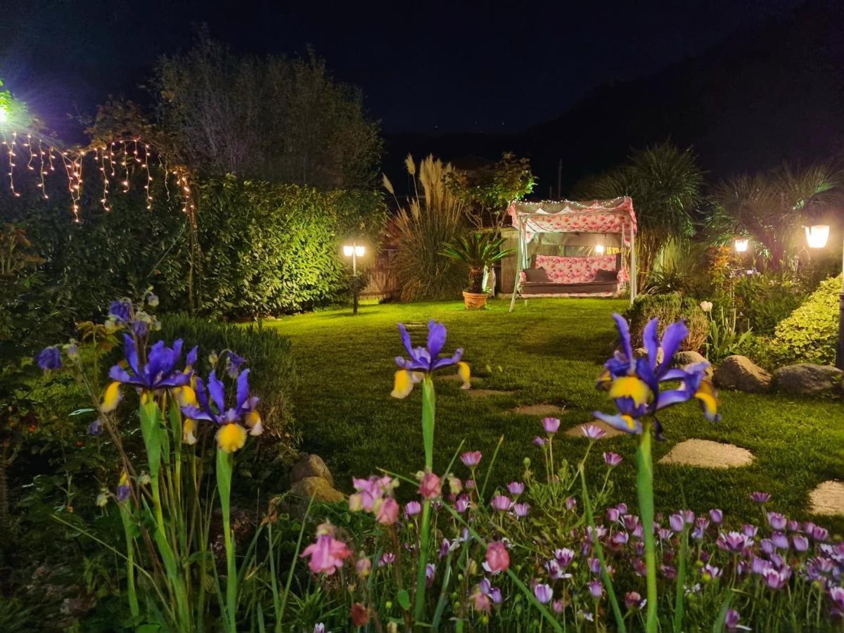 Casa Vacanze Family Albisola Superiore Exterior photo